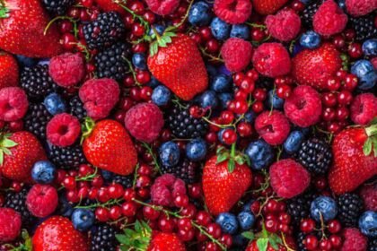 Berries: Their Advantages and Impact on Human Health