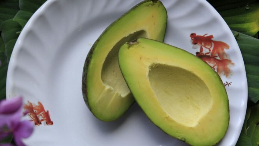 The Nutritional Powerhouse: Avocados and Their Impact on Human Health