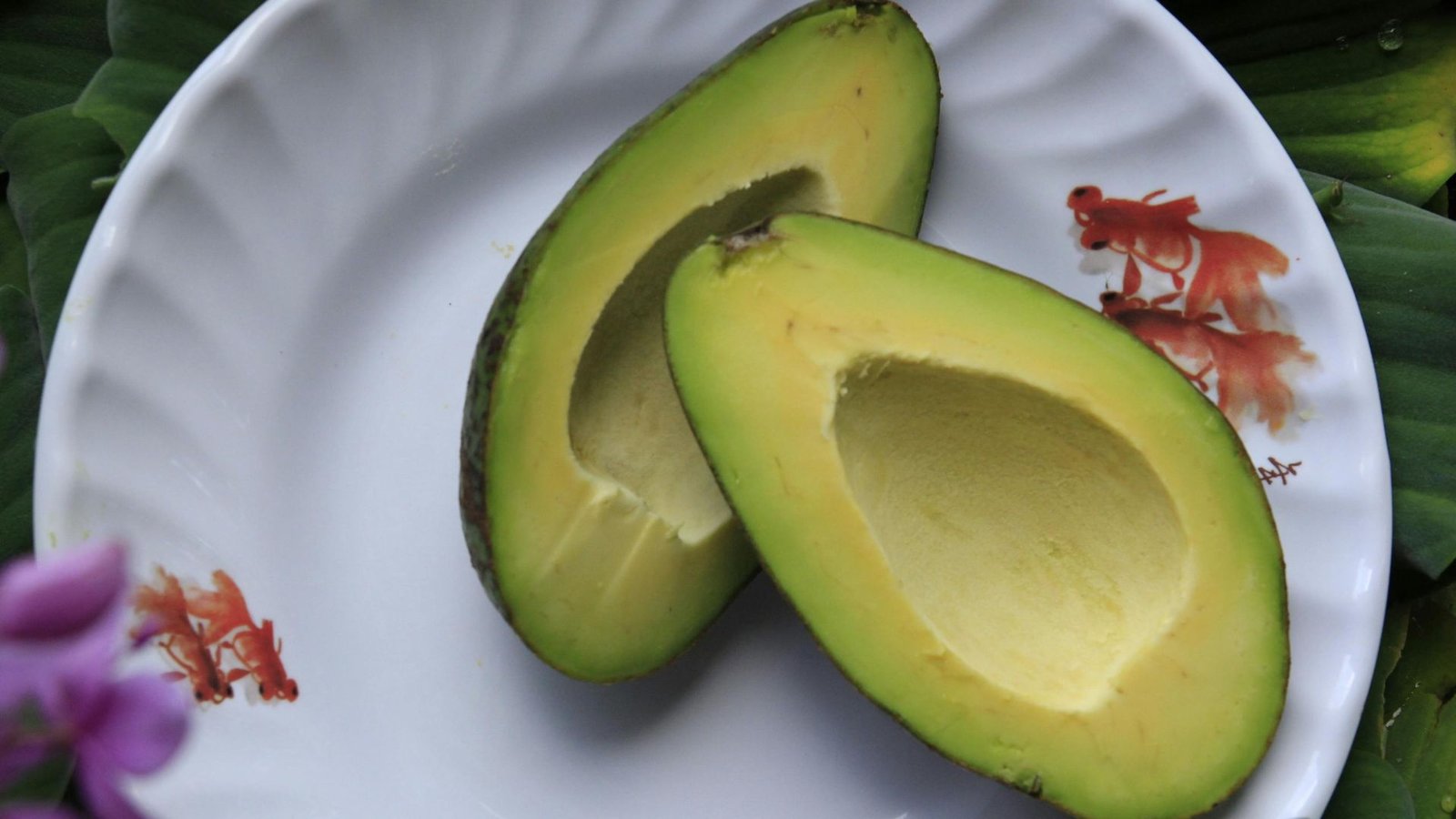 The Nutritional Powerhouse: Avocados and Their Impact on Human Health